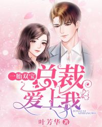 一胎双宝总裁超给力宁夕