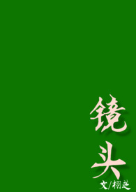 镜头txt小说校园